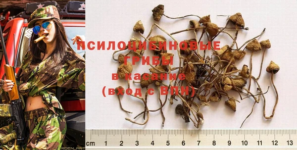 бутират Алексеевка