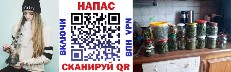 Бошки Шишки индика Макушино